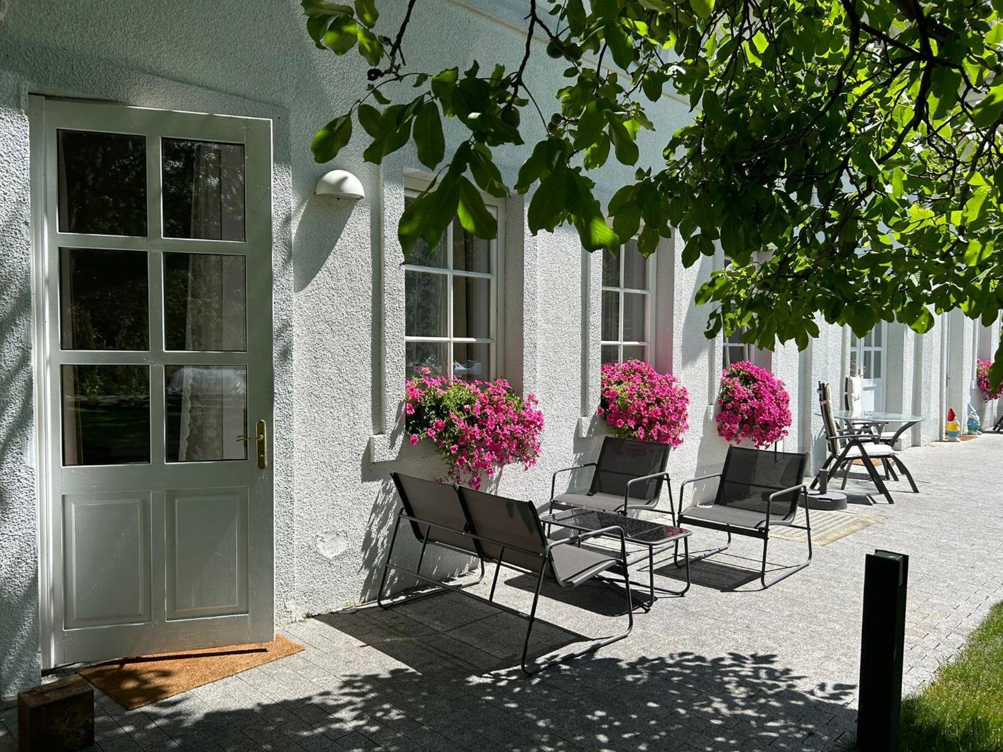 Apartment Mit Gartenblick Und Terrasse バーデン エクステリア 写真